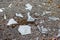 Broken glass on concrete as a result of hooliganism, war or accident