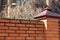 Broken glass glued to cement on top of a brick fence in a village