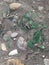 broken glass on sand in beach, pieces of glass seen from above, overhead view