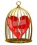 Broken heart in the cage