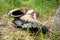 Broken hiking boots on a hiking trail