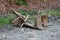 Broken homemade wooden benches left on gravel road in local forest after large storm and floods