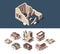 Broken houses. Isometric set of abandoned buildings real estate broken destroy windows ruins town vector set