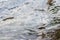 Broken ice surface of a lake in December and January as cold frosty winter season shows cracked ice of arctic glacier with frozen