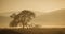 Broken limb tree silhouetted against sepia tone Namibian desert dunes.