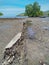 Broken log in the coast line somewhere in Cristo Rei beach, Timor-Leste.