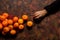 Broken mesh bag of oranges on an old wooden background in shades of brown with oranges scattered over it and a hand grabbing an