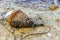 A broken-off sea buoy lies on the shore