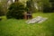 Broken Picnic Table and a Brick Barbecue