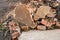 Broken Pieces of Concrete/ Cement Wall with Bricks in Junkyard - Heap of Construction Garbage/ Trash - Vintage Rough Texture