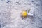 Broken pigeon egg on sand, dropped from nest, selective focus