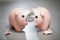 Broken piggy bank  the use of cash savings in times of crisis economic  running out of money