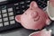 Broken pink piggy bank on a keyboard and calculator. Finance and bankruptcy idea