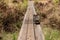 Broken plank in a wooden boardwalk