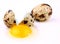 Broken quail egg on white background