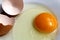 A broken raw egg with a shell lies on a plate