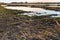 Broken reed stems washed ashore on the bank of a creek in the Du