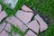 Broken road of pink tile overgrown with green grass background top view