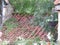 Broken roof tiles in overgrown corner of village garden