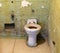 Broken rusty and dirty sink and toilet bowl from a cell at Alcatraz Prison San Francisco California USA