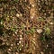 Broken and rusty iron rustic crucifix on old mossy tombstone. Abandoned symbol of religion.