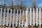 Broken section of a white picket fence