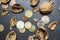 Broken shell of walnut, euro coins and cents. The concept of making money.