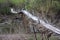 Broken and skewed footbridge after a heavy flood on a river in the countryside