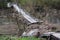 Broken and skewed footbridge after a heavy flood on a river in the countryside