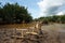 Broken small wooden bridge over the creek