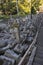 Broken stone lanterns beside the stairs of the Honmyo-ji Temple after the earth quake in 2016