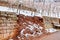 Broken Stone wall in vineyard water and snow damage.