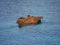 A broken stranded ship along Iguana Rock in Irabujima island, Okinawa