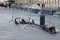 Broken street lantern surrounded by fences lies on the street in Moscow