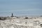 A broken telegraph pole on a snow-covered Arctic hill. Minimalistic polar landscape