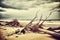 broken trees and fallen branches in hurricane aftermath on beach