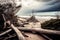 broken trees and fallen branches in hurricane aftermath on beach