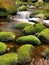 Broken trunk on blocked at stream bank above bright blurred waves. Big mossy boulders in clear water of mountain river.