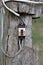 broken vintage retro large electric circuit breaker with protect