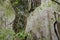 Broken wall of a ruined house invaded by wild plants