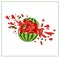 Broken watermelon on white background.
