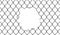 Broken wire mesh fence. Rabitz or chain link fence with cut hole. Torn wire pirson mesh texture. Cut metal lattice grid