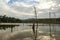 Brokopondo lake reservoir amd Ston Island in Suriname