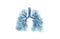 Bronchial tree (respiratory tree) multiple-branched trachea, bronchi and lungs.