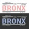 The bronx, staten island, new York city typography design vector t shirt stock vector