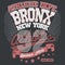 Bronx t-shirt graphics. New York athletic apparel design. Vector