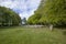 The Bronze Age burial site of Clava Cairns in the Scottish Highlands