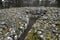 Bronze Age Clava Cairns