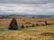 Bronze Age Stone Rows at Merrivale Prehistoric site with Vixen Tor in the background, Dartmoor National Park, Devon