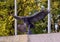 Bronze American Eagle sculpture atop the Wall of Commemoration in the Veteran`s Memorial Park in the City of Irving, Texas.